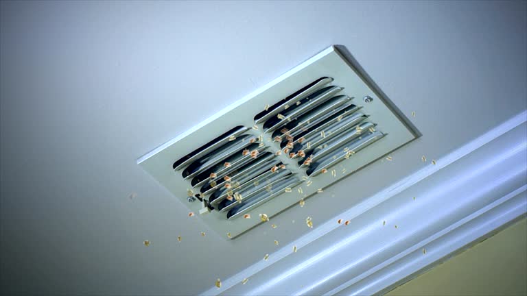 Air Duct Mold Removal in SC